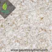 Gayatri Psyllium Industries Gayatri Psyllium